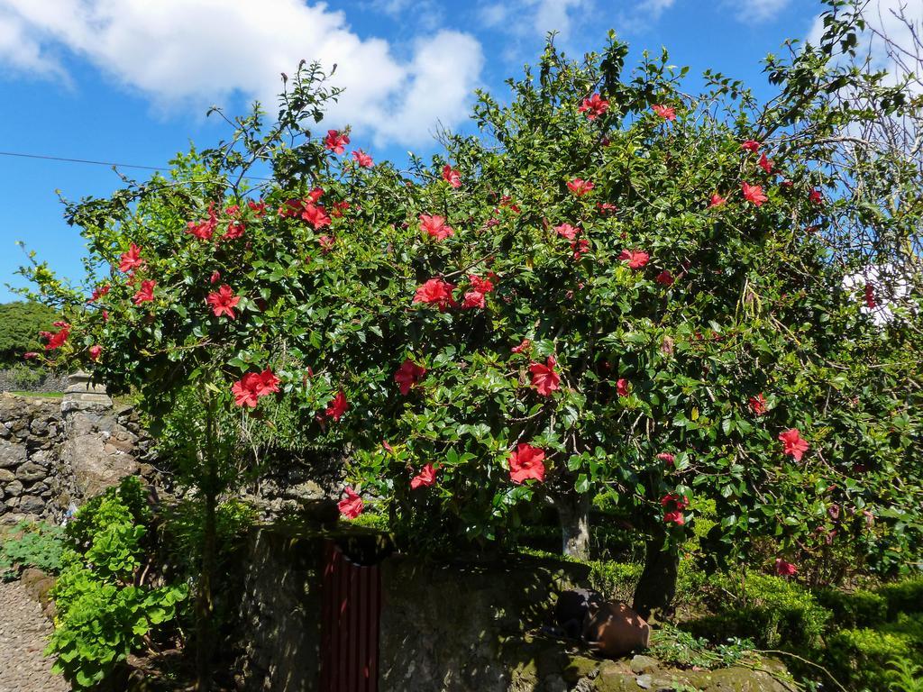 アングラ・ド・エロイーズモ Quinta Do Espirito Santoゲストハウス エクステリア 写真