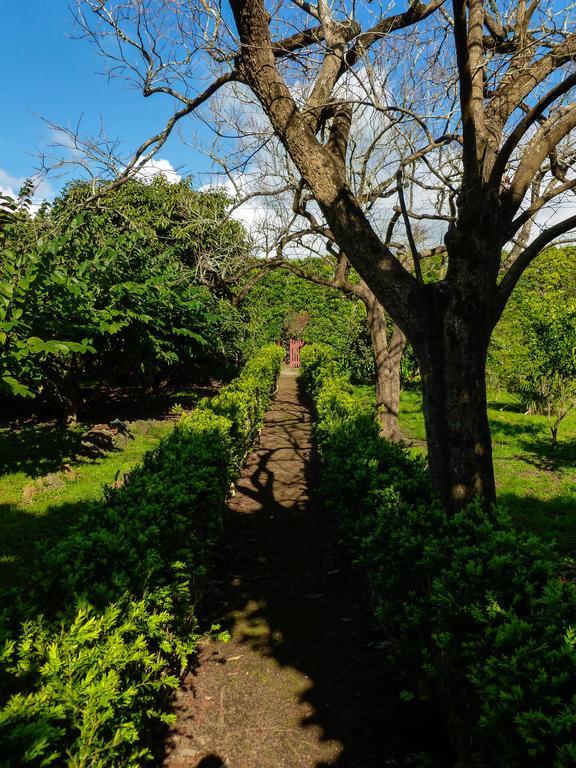 アングラ・ド・エロイーズモ Quinta Do Espirito Santoゲストハウス エクステリア 写真